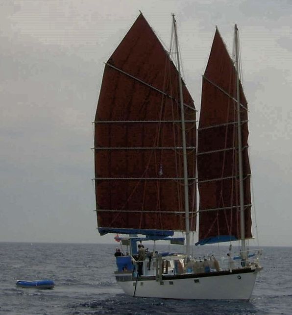Hai Kung Chu - junk rig sailing boat